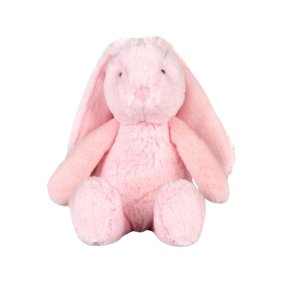 Onesie and Bunny Plush | Name